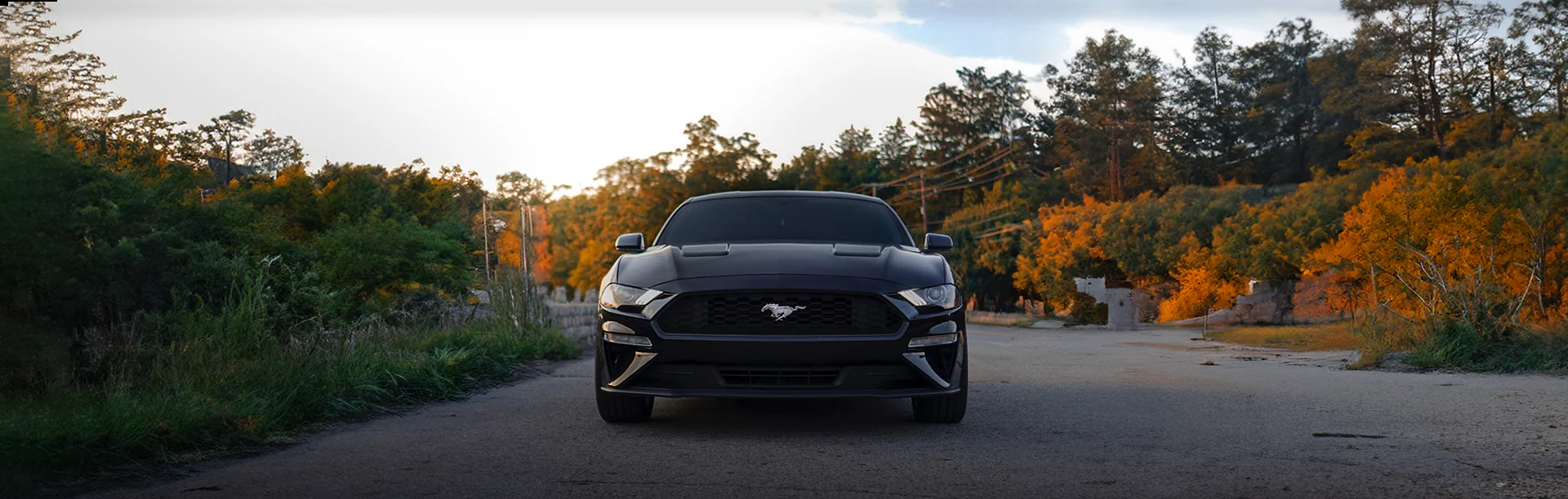 Welcome to Our Store